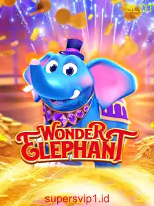 WonderElephant